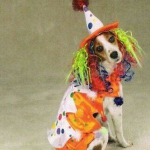 Class Clown Dog Halloween Costume Size M
